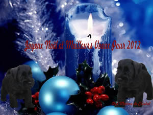 Merry Christmas and Happy New Year